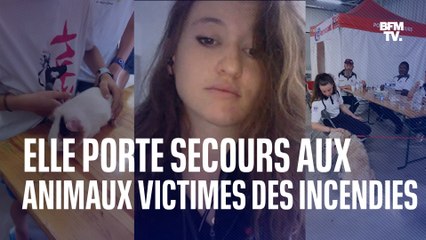 Marine Ollivier est vétérinaire sapeur-pompier, elle raconte sa mission auprès des animaux victimes des incendies en Gironde