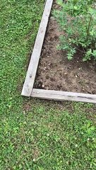 Wood Frame Falling Apart