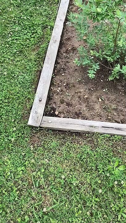 Wood Frame Falling Apart