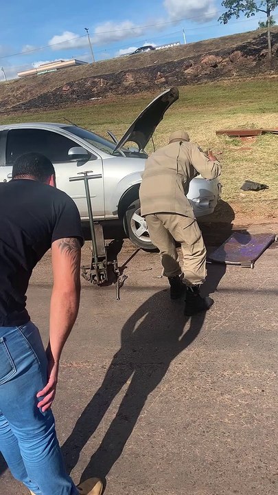 Snake Removed From Car
