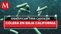 Detectan tres casos de cólera en Baja California Sur