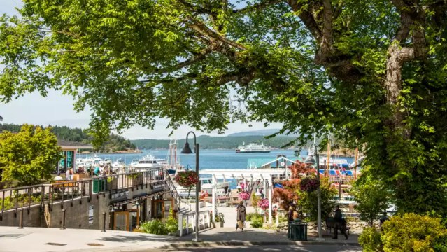 This Stunning Pacific Northwest Destination Is Home to Idyllic Islands, Epic Whale-Watching Tours, and Rustic Lodges