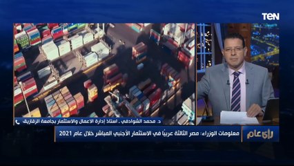 مصر الثالثة عربيا في الاستثمار الأجنبي المباشر خلال 2021.. وأستاذ إدارة أعمال يشرح التفاصيل