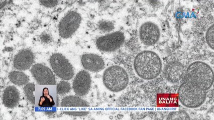 Ilang senador, naghain ng resolusyon para siyasatin ang kahandaan ng gobyerno sa Monkeypox | UB