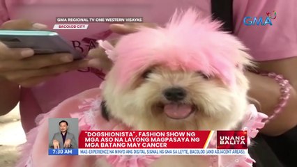 "Dogshionista", fashion show ng mga aso na layong magpasaya ng mga batang may cancer | UB