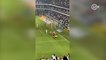 Ganso faz gol de pênalti de cavadinha e irrita jogadores do Santos na Vila Belmiro