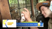 Close encounter sa mga tigre with UH Funliner! | Unang Hirit