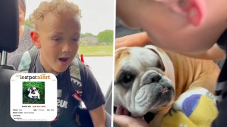 Boy Surprised With Pet Dog Who Went Missing Two Years Ago