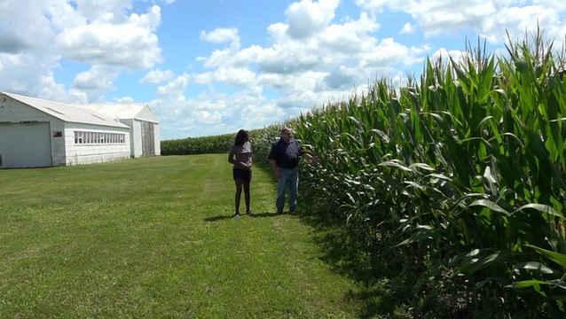 Recent rain provides much-needed relief to Midwest farmers