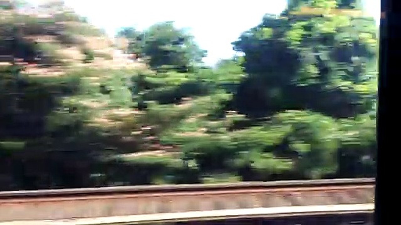 Long Island Railroad Speeding through Long Island Suburbs