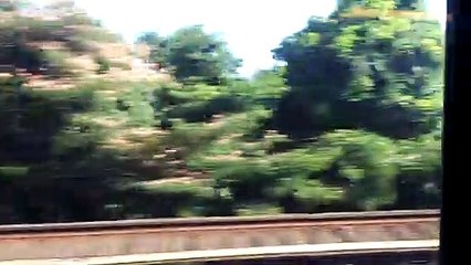 Long Island Railroad Speeding through Long Island Suburbs