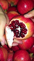 Fresh fruit #shorts cutting video 