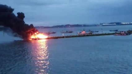 충남 당진 한진포구에서 불...어선 4척 불타 / YTN