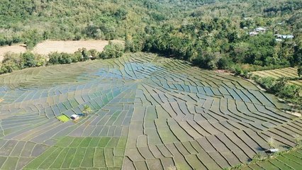 Pasrah Dalam Doa - Dian Piesesha (Piano Instrumental by Sukarno Syahrir)