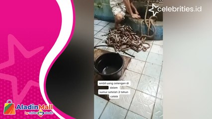 Viral Emak-Emak Menabung 2 Tahun di Sumur, Terkumpul Rp3,9 Juta