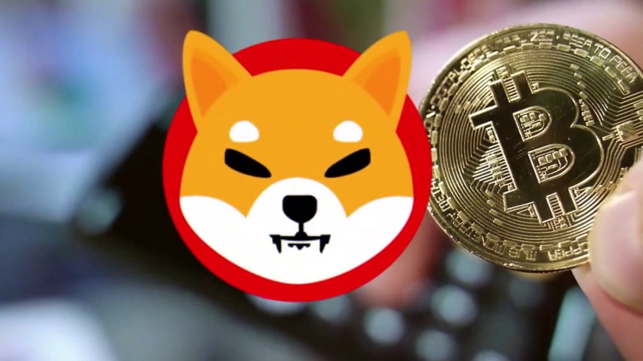 SHIBA INU COIN NEWS TODAY - SHIBA PRICE PREDICTION |  SHIBA INU CRYPTO | SHIBA TOKEN