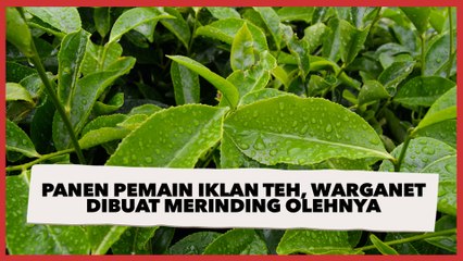 Panen Pemain Iklan Teh, Warganet Dibuat Merinding dengan Penampakannya