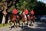 Son dakika haber | GAZİANTEP - Atlı polis birlikleri parklarda güvenlik denetimine katıldı