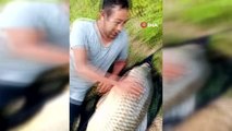 Mardin haberi! Ömerli Barajı'nda oltaya takılan dev sazan balığı görenleri şaşırttı