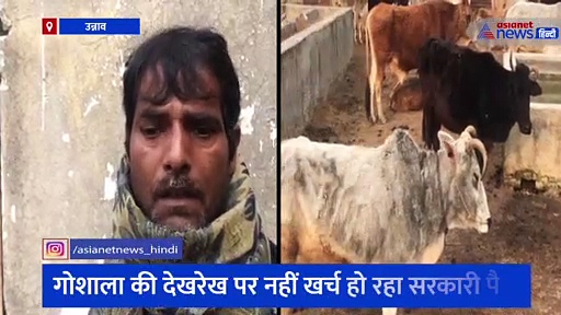 इन गोशालाओं की दुर्दशा देखकर आप भी हो जाएंगे हैरान, Asianet News की पड़ताल में अफसरों की लापरवाही आई सामने