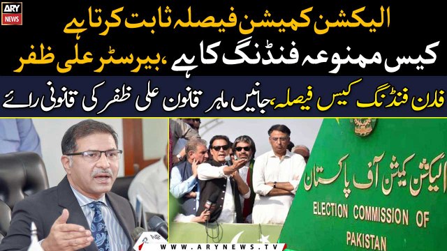 ECP's verdict proves that the case is of prohibited funding, Barrister Ali Zafar