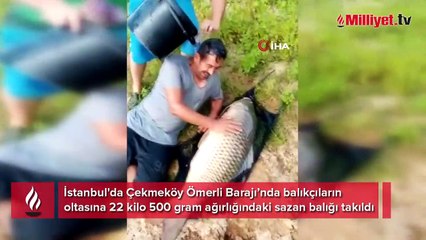 Yer: İstanbul! Balıkçılar gözlerine inanamadı
