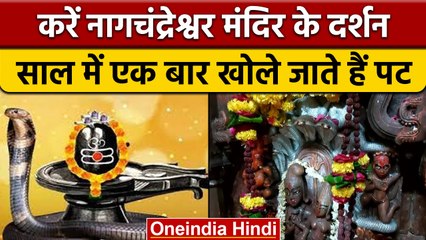 Nag Panchami 2022: नागपंचमी पर खुले Ujjain के नागचंद्रेश्वर मंदिर के पट | वनइंडिया हिंदी | *Religion