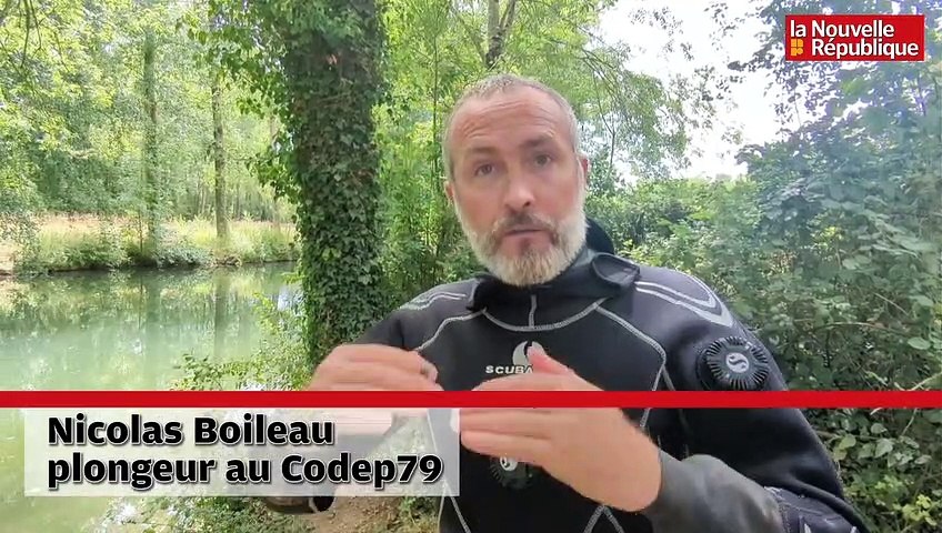 Deux-Sèvres : comment les plongeurs repèrent les mulettes au fond des rivières