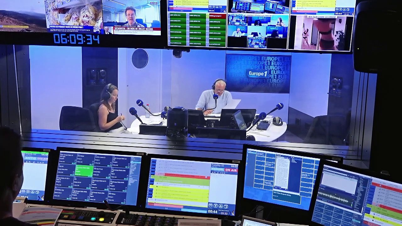 La canne de Provence : quelle est cette plante aux propriétés dépolluantes ?