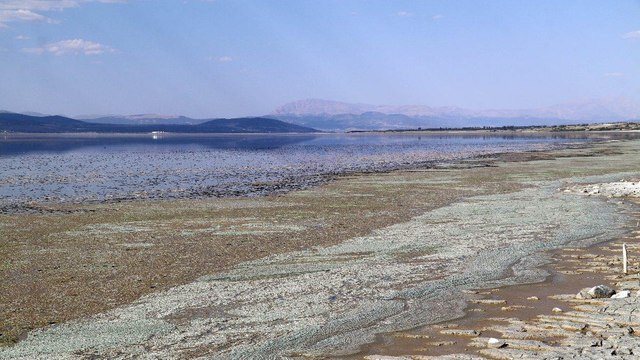 'Burdur Gölü yaralı, yardıma ihtiyacı var'