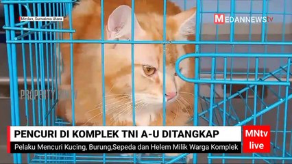 Curi Hewan Peliharaan di Komplek TNI Ditangkap