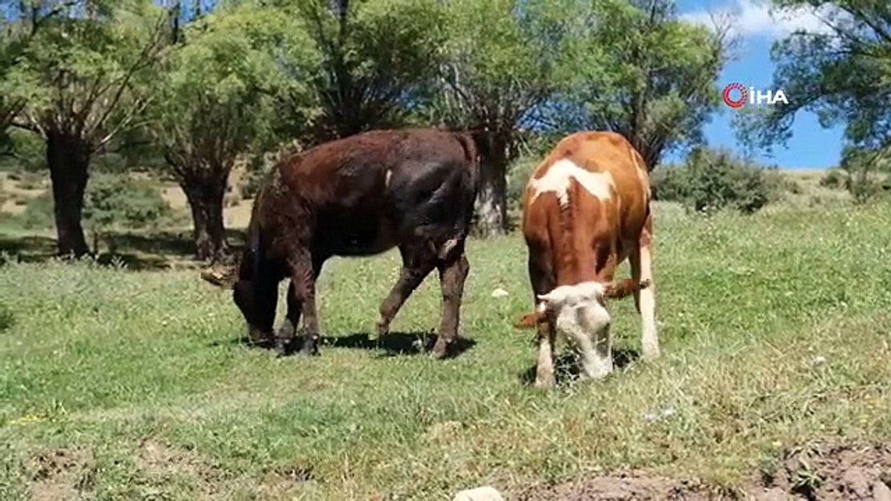 Doğa harikası Girlevik Şelalesi'ni besleyen gözeler, ziyaretçilerin uğrak yeri oldu