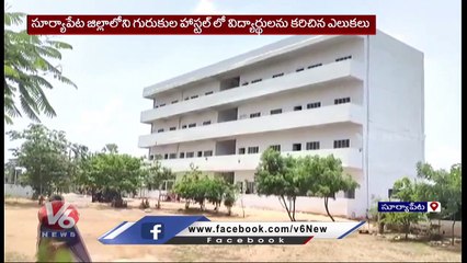 విద్యార్థులను కొరికిన  ఎలుకలు.. Rats Bite Students In Gurukul Girls Hostel  |Suryapet  | V6 News (1)