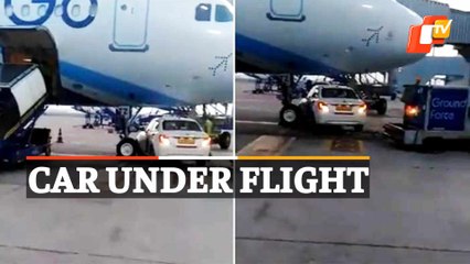 Airport Ground Vehicle Goes Under Indigo Flight Nose