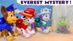 Paw Patrol Everest MYSTERY Toy Story Cartoon for Kids and Children