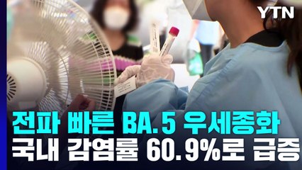 전파 빠른 BA.5 우세종으로..."중증도 더 높진 않아" / YTN