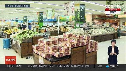 작황 부진에 배추·무 가격↑…"물가 안정 대책 추진"