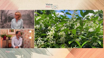 Votre maison, le mag - Style japandi, table de jardin et douche clé en main.