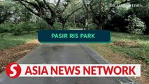 The Straits Times | Three ways to enjoy Pasir Ris Park