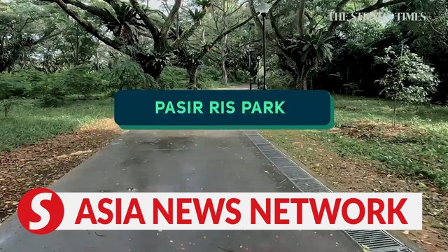 The Straits Times | Three ways to enjoy Pasir Ris Park