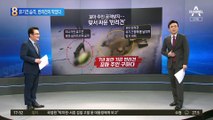 꼬마 주인 습격한 유기견…반려견, 몸 날려 쫓았다
