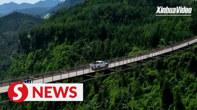 Bridge over a deep canyon goes viral in China