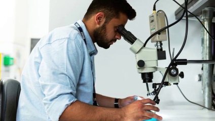 Scoperta incredibile su una regione italiana in passato era da un’altra parte