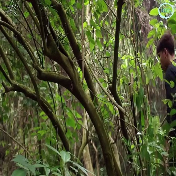 Building complete and warm survival shelter - Bushcraft cave in the cliff & fireplace with clay