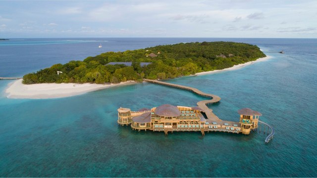 Alerte job de rêve : une île des Maldives recherche son libraire aux pieds dans le sable