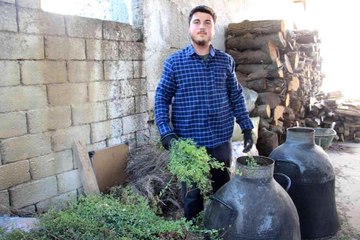 Pandemi kekiğin kıymetini arttırdı