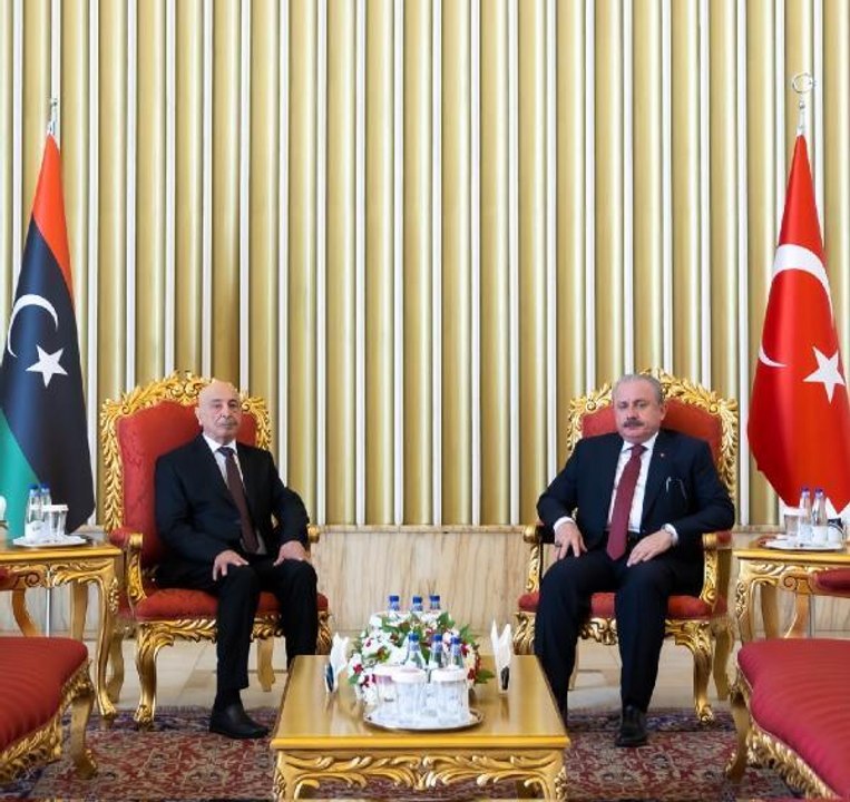 TBMM Başkanı Şentop, Libya Temsilciler Meclisi Başkanı Salih ile görüştü