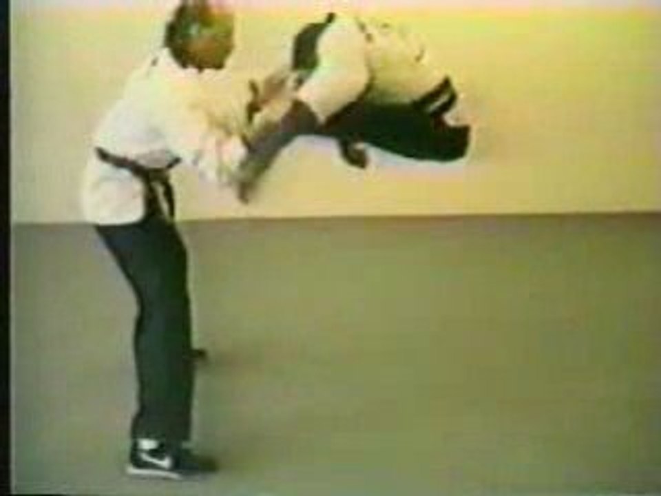 Humour - monkey kung-fu