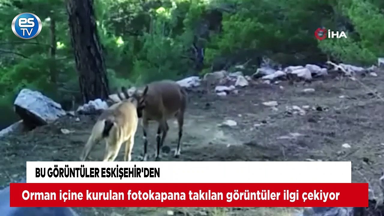 Bu görüntüler Eskişehir'den