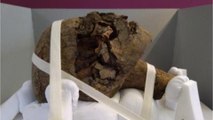 Une mystérieuse tête de momie égyptienne intrigue les chercheurs en Angleterre